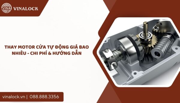 Thay Motor Cửa Tự Động Giá Bao Nhiêu